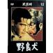 [. хорошо собака ] чёрный . Akira DVD коллекция 12 [DVD]