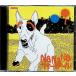 NaNaNa summer девушка [MAXI]( тонкий кейс ) / Porno Graffitti CD Японская музыка 