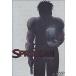 spli gun dts edition [DVD]
