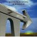 BRIDGE / HOUND DOG CD Японская музыка 