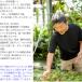 �ϗt�A�� �y �ϗt�A���̓y �͔|�ƁE���R�񖤎��u�v���~�A���p�y�v3���b�g��(�x�X�g�\�C���~�b�N�X) �A���ւ� �����A�� �y �����p �� �֘A�摜5