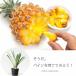 �p�C�i�b�v�� �ʎ��c �c �ʕ� ���ꂩ����񂹂܂����A�p�C�i�b�v���̕c