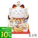 (���؂Q����T) �����L 8/12��P+10���I �u�� ���� �����_ �����ɐ� �J�^ ���� �E�� ���� �J�X�j�� ���z�c�t�� ������� ��t�q ���̓�