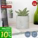 10/4. +10% восстановление! диффузор Lead диффузор Северная Европа искусственная зелень модный MRU-73 aroma салон аромат унисекс популярный mercyu