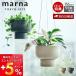 marnama-na hanging plan to pot hanging pot for interior plant pot stylish hanging planter S508 light weight carrying height adjustment 