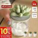  диффузор Lead диффузор MRU-91 aroma аромат кактус модный 100ml ароматические средства аромат mercyu жизнь on Pro daktsu