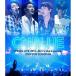 BD/CNBLUE/SPRING LIVE 2016~We're like a puzzle~ @NIPPON BUDOKAN(Blu?ray)