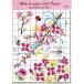 [ru*bon-ru*te* dam ] Cross стежок дизайн chart FA24 Flower Leaflet
