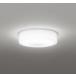 OG254873R �I�[�f���b�N �����p�V�[�����O���C�g LED�i�����F�j