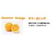  aroma дезодорация легкий кручение корпус ( чёрный ) + диск дезодорант ( summer orange )