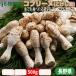 ko шкив n( kokeshi .) 500g предубеждение shef. сырой тоже еда ... супер premium .. . Nagano префектура производство 