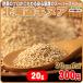 vegetable. Pro . to fuss over safety domestic production. super hood Hokkaido quinoa 20gx1 sack 
