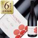  красный вино Франция rubru John Bourgogne Pinot nowa-ru2024 750ml