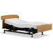  France Bed отсутствует Tec s102C[ одиночный ][3 motor ] электрический bed электрический наклонный . вверх ножек вверх скользящий 1. розетка местного производства уход FranceBed