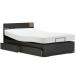  France Bed тонкий электрический bed UD-101F полуторный 2 motor электрический bed электрический наклонный Flat do Roar модель выдвижной ящик имеется сделано в Японии коврик 