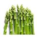  спаржа ... Dell che земля . рассада 3 АО ( поступление предположительно :2025 год 11 месяц последняя декада примерно )