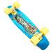 PENNY skateboard(pe knee skateboard )22inch GRAPHICS POSTCARD COLLECTION COASTAL BLUE 0PGR4