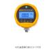 ݥ5ܡ ե롼 FLUKE-700G05 ̩ϥƥȥ