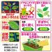 �E���� ���낢��ȐA���悵 ���^�C�v 650g �A�[�X���� �A�[�X�K�[�f�� �E�� �A�u�����V �E�� �E���� ���� �E���� ���� ��� �� �E�� �� �� �E�� �ϗt�A�� �֘A�摜1