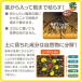 ������ ���E���h�A�b�v�}�b�N�X���[�h AL 2L ���Y���w ������ ���E���h�A�b�v ������ ���� ������ �O���z�T�[�g ������ �t�� ������ �֘A�摜3