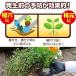 �x�j�JX�K�[�h���� 550g KINCHO���| �E���� �x�j�J �E���� ���� �E���� �E�ۍ� �x�j�J �E�ۍ� ���� �E�ۍ� �a�Q�� �΍� �a�Q�� �\�h �E���E�ۍ� �֘A�摜1