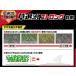 ������ ���ގ��X�g�����O ���� 5kg�~4�� �Œ�1�N���� KINCHO���| ������ ���� ������ ���� ������ ���� ������ �N�T�m�� ������ �G���h�� �G���΍� �G�� �h�� �֘A�摜3