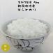 米 5kg 新潟産コシヒカリ お米 新潟 佐渡 朱鷺と暮らす郷米 30年産
