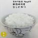 米 10kg 新潟産こしひかり お米 新潟 佐渡 朱鷺と暮らす郷 30年産