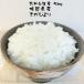 米 5kg さがびより お米 佐賀県産 30年産