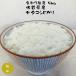 米 5kg 七夕コシヒカリ 新米 佐賀県産 令和元年産