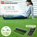  искусственный газон защита от сорняков сиденье имеется 2m×10m U знак фиксация булавка 40 шт. входит .PS7B-B35210 лето газонная трава / весна газонная трава настоящий искусственный газон газонная трава сырой коврик искусственный газон сырой искусственный газон коврик искусственный газон roll газонная трава сырой гора .