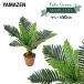  искусственная зелень cocos nucifera высота 50cm FG-ARECA50 человеческий труд зеленый декоративное растение поддельный искусственный цветок растения зеленый растение в горшке настоящий натуральный интерьер модный полив не необходимо гора .