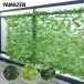  зеленый забор leaf решетка примерно 100×200cm LLH-12C/LLS-12C/LLH-PMS12 зеленый забор вертикальный сад зеленый занавески leaf забор глаз .. гора .