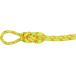  Mammut MAMMUT 9.5 ALPINE CORE PROTECT DRY ROPE 2010-04600A single low p Alpine climbing mount nia кольцо 201004600A