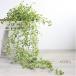 azla висячий втулка 40958 искусственный цветок искусственная зелень CT катализатор 