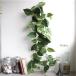  deodorization Galland pothos - Galland decorative plant fake green artificial flower interior photocatalyst CT catalyst 325