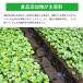 ���T�r�k�����g�[�� 3�� �r���� �k������� �񉖑f�n �킳�� ���C�I�� �r���p�C�v ��� ���� �R�� ������ ���L�΍� �L�b�`�� ���{���@���� �֘A�摜2