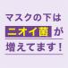 ��p���X�e���� �g�[�^���P�A�v���X �N���[���~���g�� �}�E�X�E�H�b�V��(1000ml*6�Z�b�g) �֘A�摜4