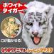 �������� �A�j�}�����[�r���O�}�X�N �y WhiteTiger �z���C�g�^�C�K�[ �z���� �� ���� �A�j�}���}�X�N ���A�� ��������}�X�N �R�X�v�� ������� �n���E�B��