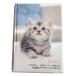  dia Lee / дневник .( кошка )