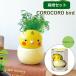 ko Logo ro bird o черепаха ромашка культивирование комплект комплект салон овощи трава цветок садоводство садоводство огород модный 
