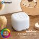  звук механизм белый шум AudioComm.. древесный уголь динамик lASP-WS300N 03-3000 ом электро- машина 