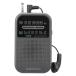 AudioComm 2 частота карман радио серый lRAD-P127N-H 03-7252 _ ом электро- машина 