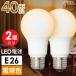 LED�d�� E26 40�`���� �d���F �S���� 2���bLDA5L-G AG52 2P 06-4704 �I�[���d�@