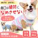 �� �p�㕞 �G���U�x�X�J���[ �I�X ���X ���p �� �w���J�� ���� ���^��