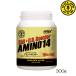 GGP GOLD'S GYM Gold Jim EAA+N.O. бустер amino 14 пудра 300g мускат способ тест VELOX 83364 F4500