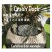 �N���b�V�����b�N �u���b�N 20Kg 150mm-200mm ���I�� �ɐ��u���Ӑ� crash rock �Ӑ� ���b�N�K�[�f�� �h���C�K�[�f�� ���A�� ���ϐ� ��� �֘A�摜2
