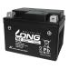 LONG �����O �o�b�e���[ 12V/4Ah �t������ WTZ5S(2473576)