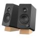 CreativeklieitibCreative XF1 черный SP-XF1-BK(2685333)