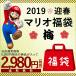 福袋2019 マリオ福袋 梅(6点入り)
